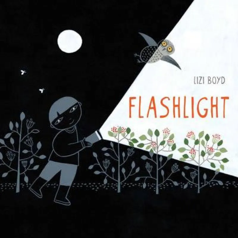 Lizi Boyd Flashlight Hardback Book Multicolor