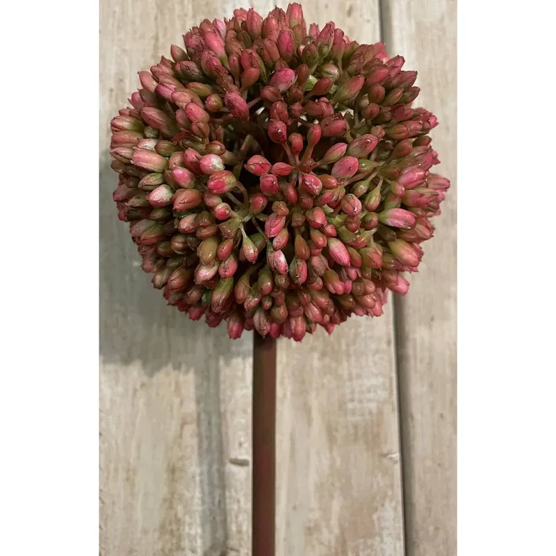 Love Lace Pink Allium Artificial Flower Pink