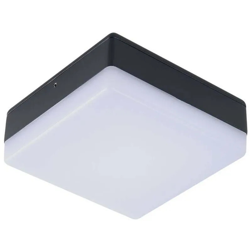 Lucande LED Ceiling Light Outdoor 'Thilo'