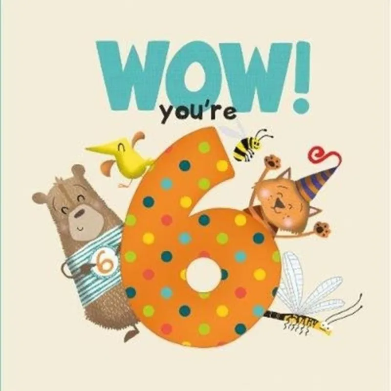 From You TO ME Wow! You'Re Six Birthday Book