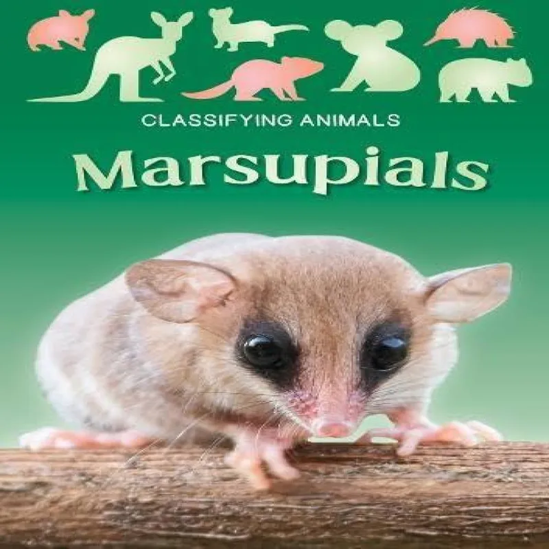 Madeline Tyler Marsupials Paperback Book Multicolor