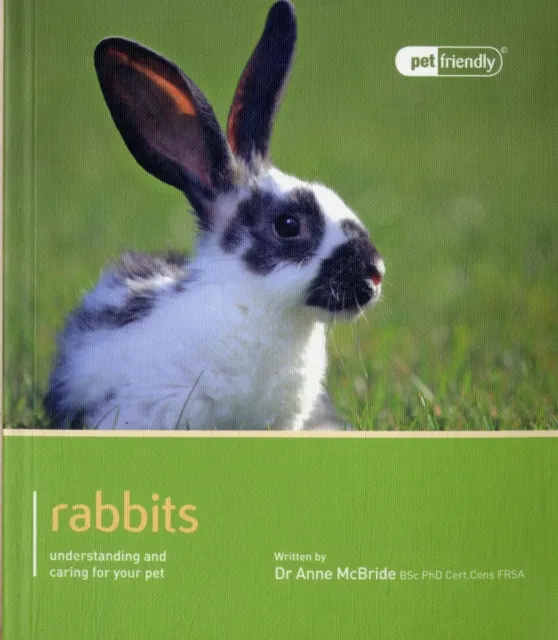 Magnet & Steel Publishing Ltd Rabbit - Pet Friendly