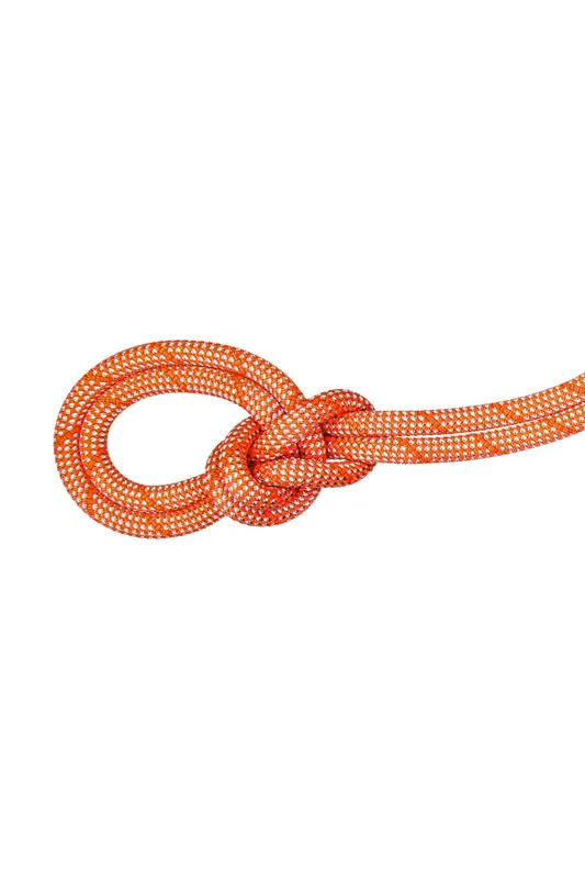 Mammut 9. 8 Crag Classic Rope