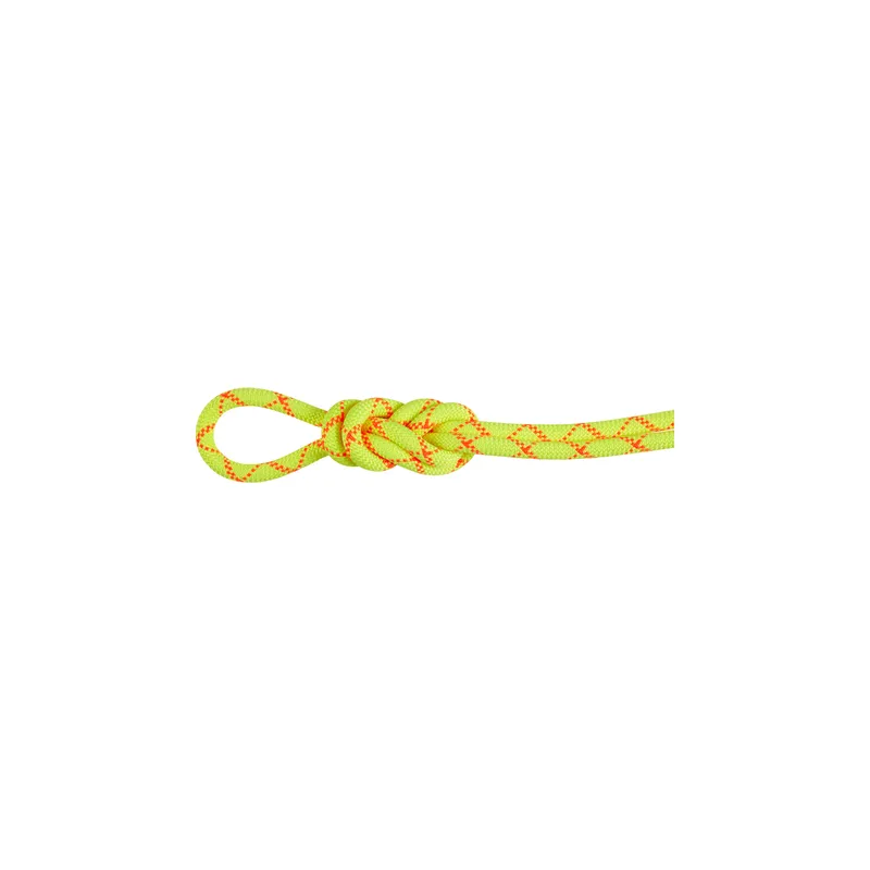 Mammut Impregnated, dynamic single rope with high cut resistance 9.5 Alpine Core Protect Dry Rope 50m - halo-vibrant orange, 50 m