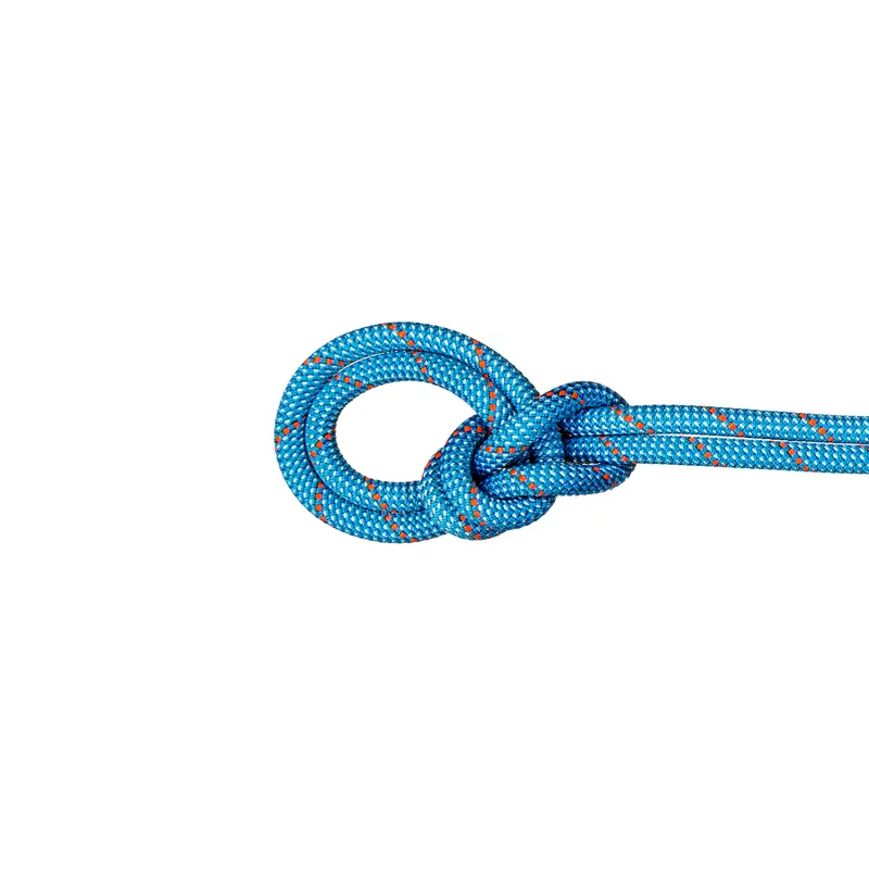 Mammut Single rope for sports and traditional climbing 9.8 Crag Classic Rope 50m - ice mint-white, 50 m