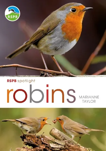 Marianne Taylor Rspb Spotlight: Robins