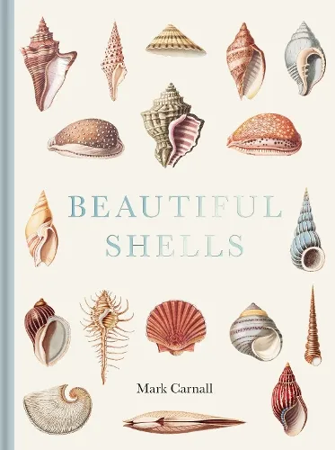 Mark Carnall Beautiful Shells