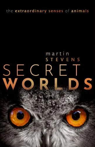 Martin Stevens Secret Worlds