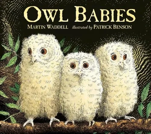 Martin Waddell Owl Babies
