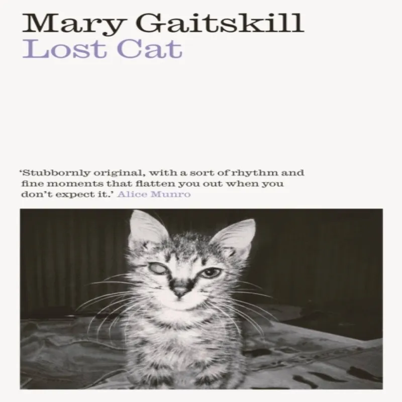 Mary Gaitskill Lost Cat