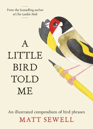 Matt Sewell A Little Bird Told Me
