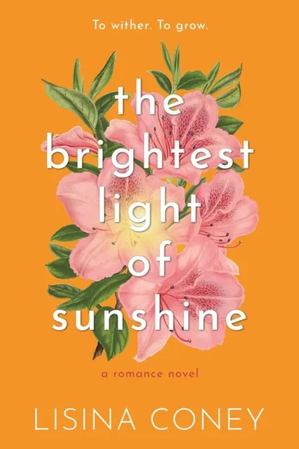 Meredith Wild Llc Brightest Light Of Sunshine