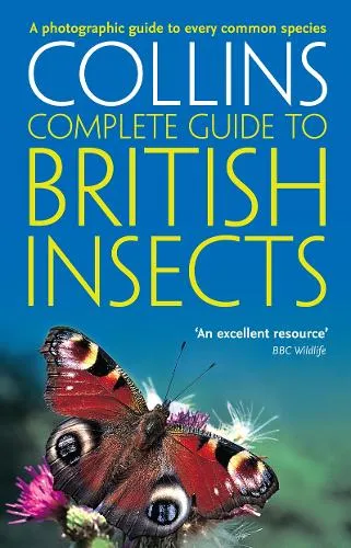Michael Chinery British Insects