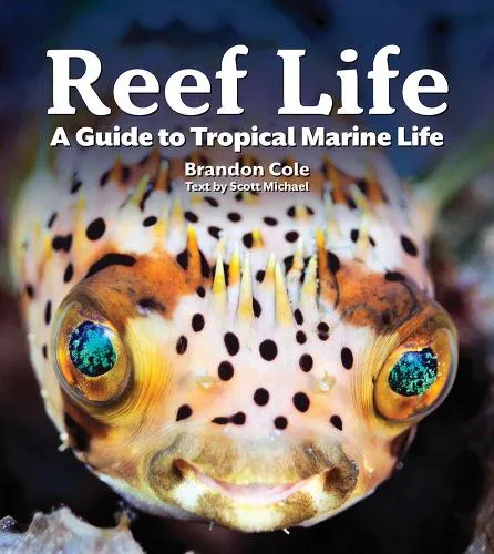 Michael Scott Reef Life