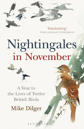 Mike Dilger Nightingales in November