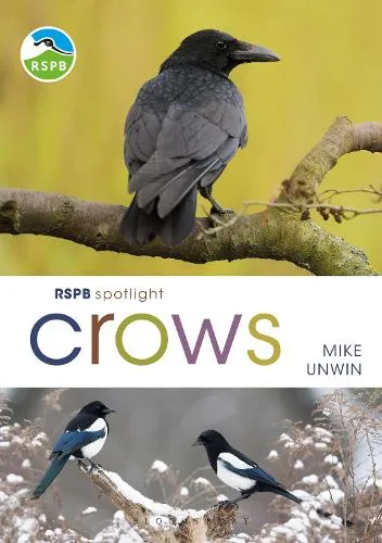 Mike Unwin Rspb Spotlight Crows