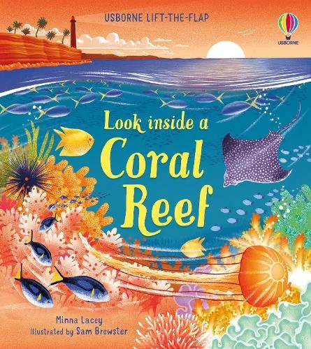 Minna Lacey Look inside a Coral Reef