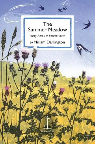 Miriam Darlington The Summer Meadow