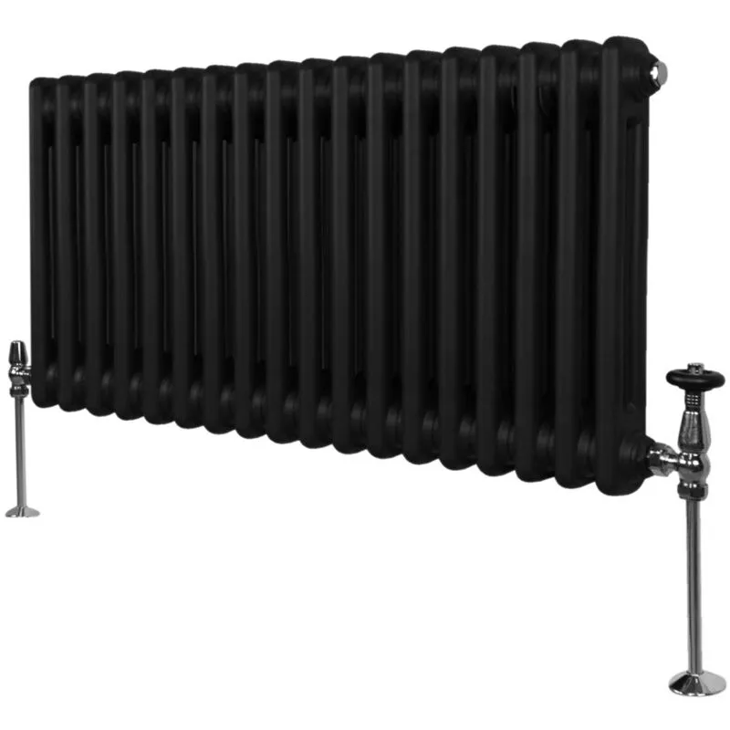 Monstershop Unisex Traditional 2 Column Radiator - 300 x 832mm in Black Black female