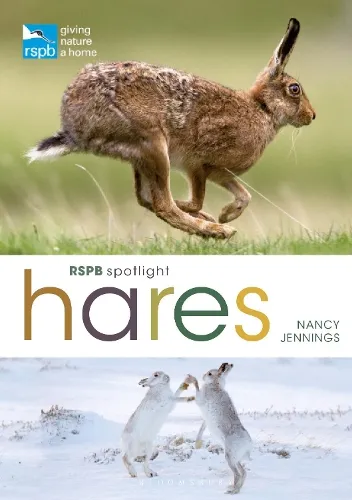Nancy Jennings Rspb Spotlight Hares