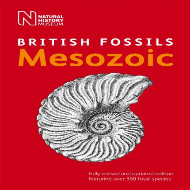 The Natural History Museum British Mesozoic Fossils