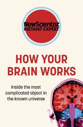 New Scientist How Your Brain Works