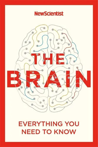 New Scientist The Brain