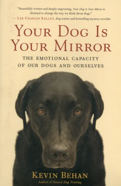 New World Library Your Dog Is Your Mirror