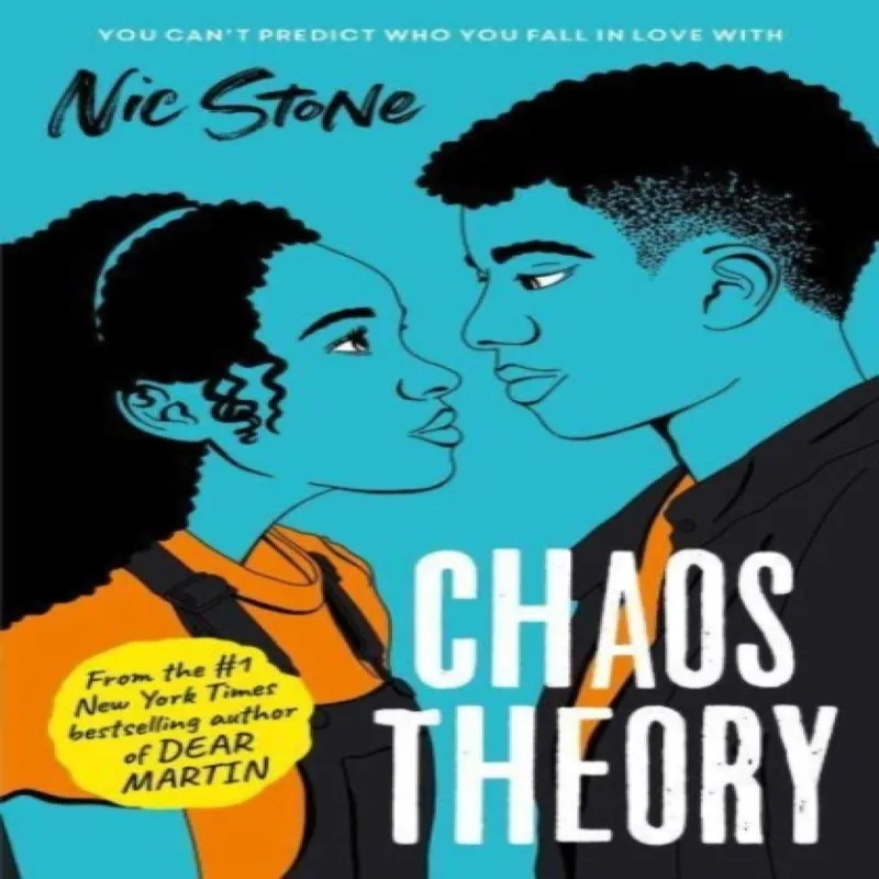 Nic Stone Chaos Theory