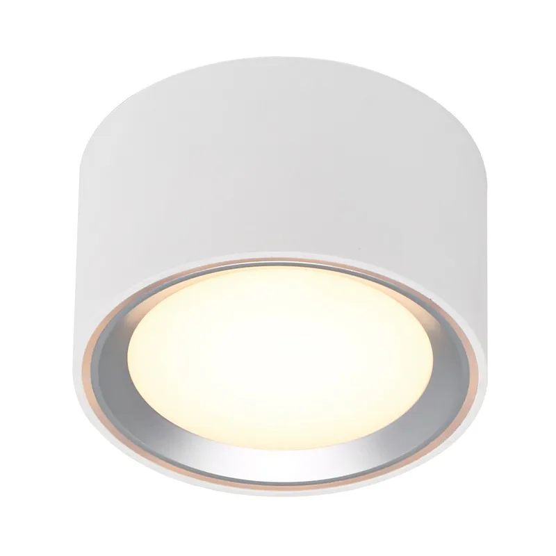 Nordlux 47540132 Fallon LED Surface-Mount Light 5.5W Warm White