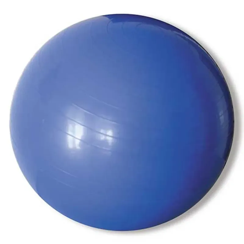 Ology Ball Blue 65 cm unisex