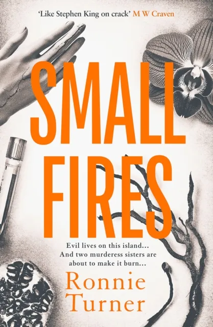 Ronnie Turner Small Fires