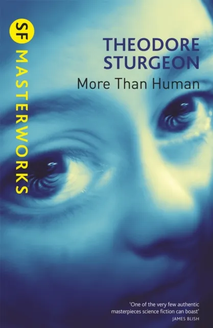 Orion Publishing Co More Than Human