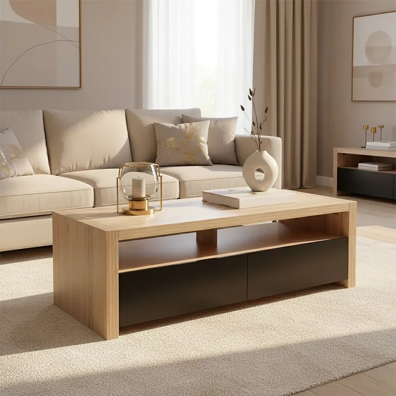 Orsina 2 Drawers & 1 Shelf Coffee Table, Modern Coffee Table That Has Storage, Wooden Coffee Table For Home in Natural Natural