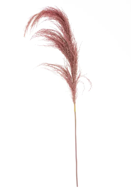 Orsina Fiori Pink Stem Pampas Grass, Natural Charm Pink