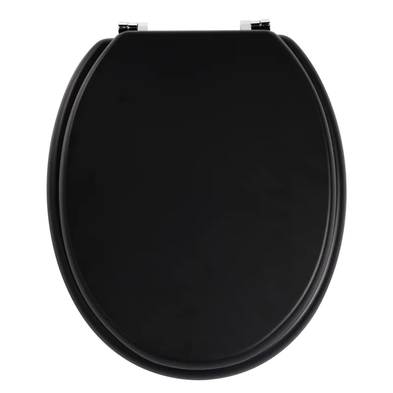 Premier Housewares - Matt Black Toilet Seat