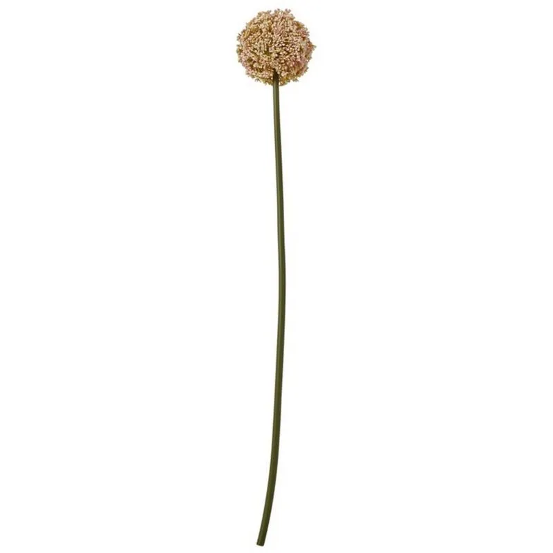 Allium (Single Stem Flower) - Plastic - L11 x W11 x H75 cm - Pink