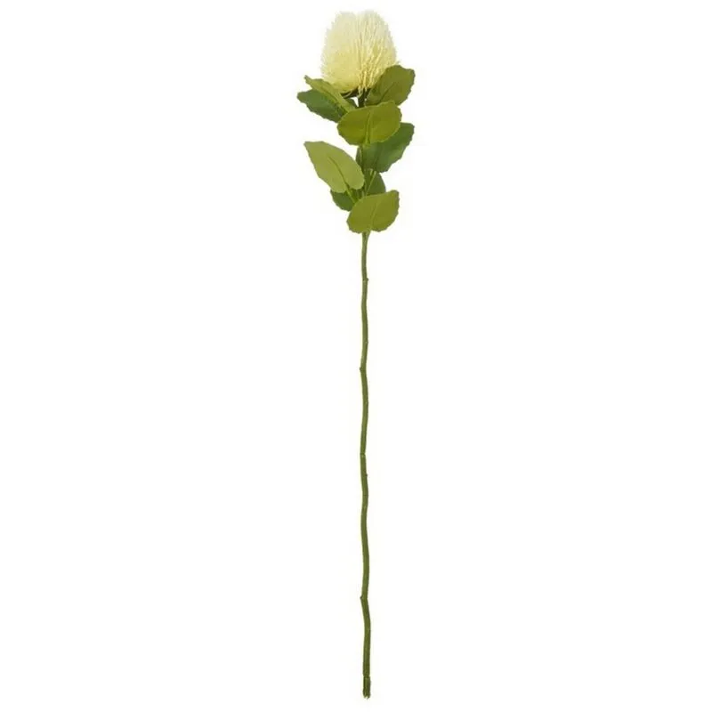 Sostter Unisex Cream Banksia Artificial Flower Stem Cream female