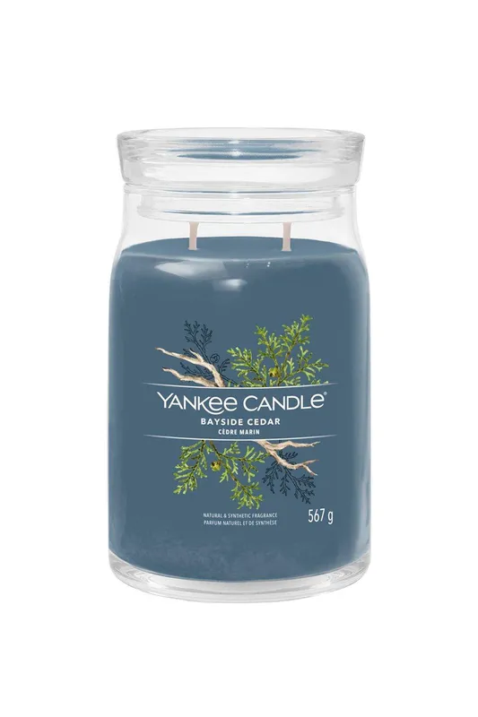 Debenhams Signature Large Jar Bayside Cedar Candle in Blue - Blue