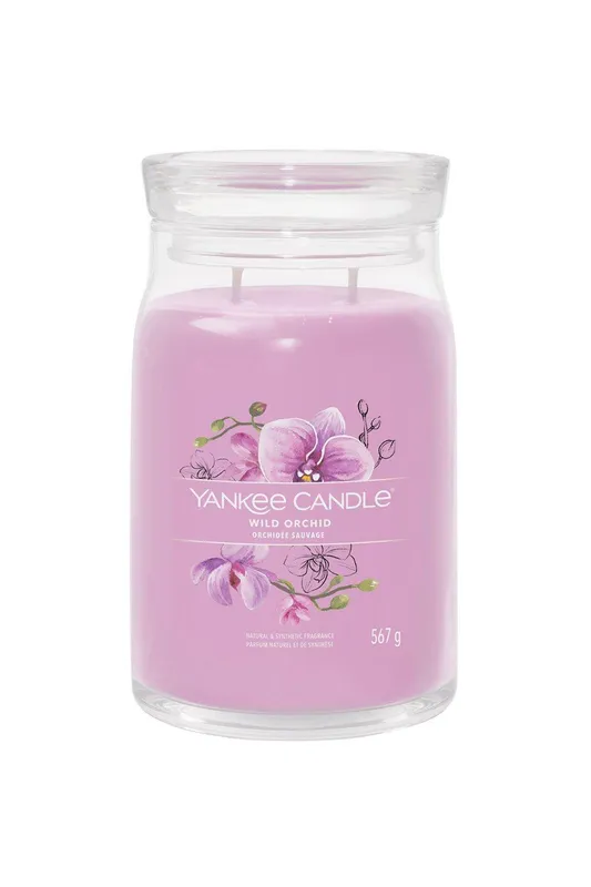 Debenhams Signature Large Jar Wild Orchid Candle in Pink - Pink - Size: One Size