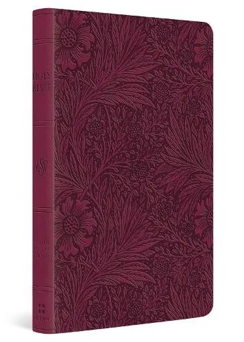 Esv Large Print Value Thinline Bible