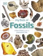My Book of Fossils