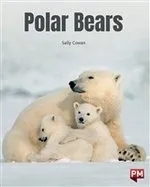 Scholastic Ltd Polar Bears