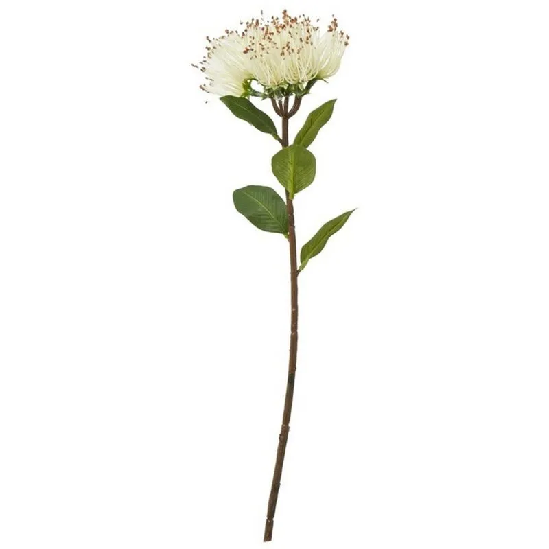 Protea Nitida (Single Stem Flower) - Plastic - Height 45 cm - Cream