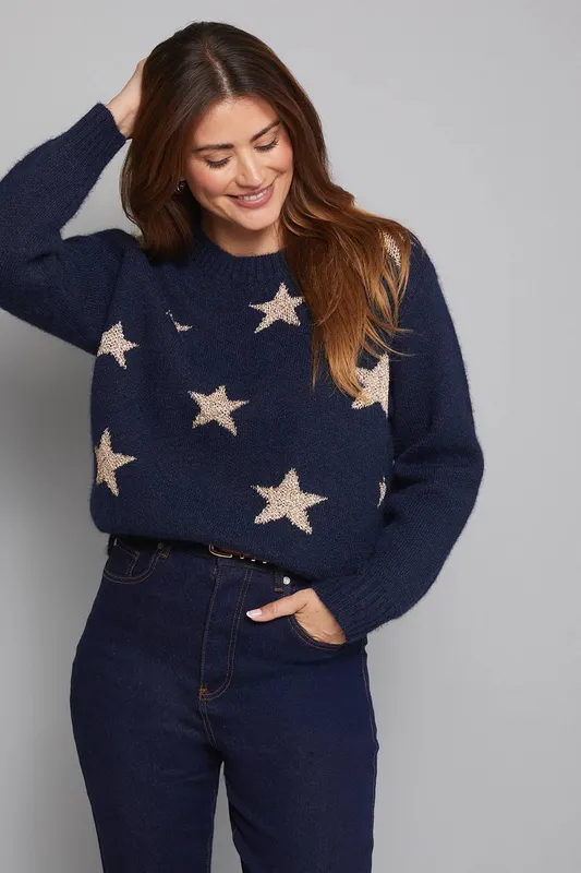 Wallis Women's Sparkle Star Crew Neck Jumper in Navy Size: Large - Navy