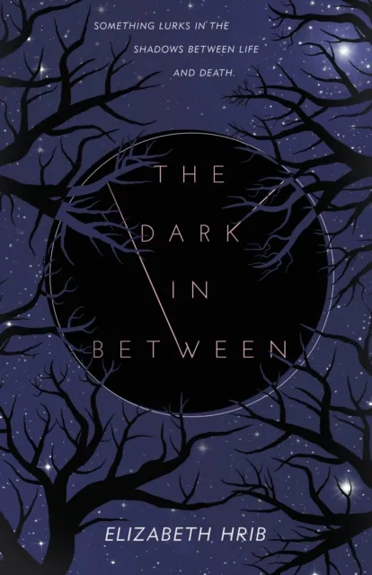 Palgrave USA The Dark In-Between