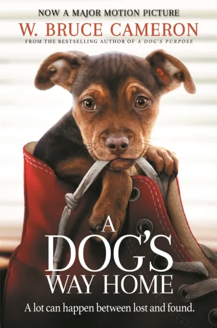 Pan Macmillan A Dog'S Way Home : The Heartwarming Story Of The Special Bond Between Man And Dog