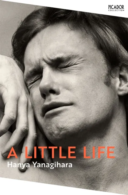 Pan Macmillan A Little Life