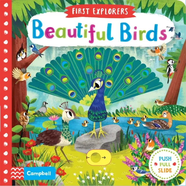 Pan Macmillan Beautiful Birds