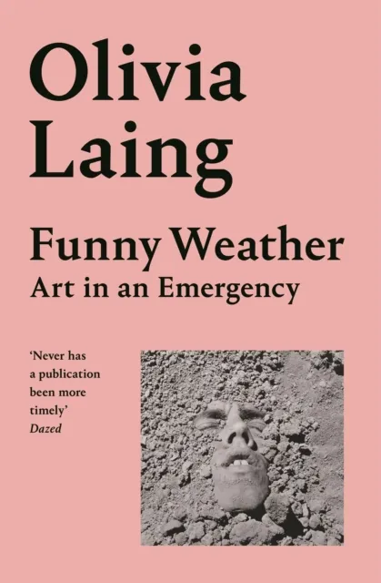 Olivia Laing Funny Weather